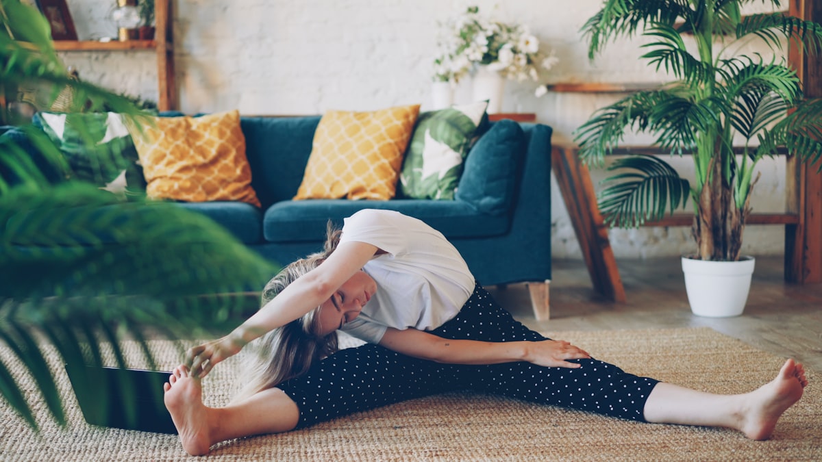 Full body flexibility program